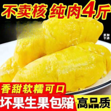 榴莲水果顺丰急发冷冻果肉猫山王现剥速冻肉杰宏