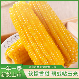 ���̉�������|ճ�������rŴ���ז|���������r��֬���Ȱ���ʹ���