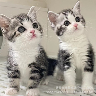 ����؈���w���N���̼Ӱ���˾���_؈����؈�����̻������̻�����؈