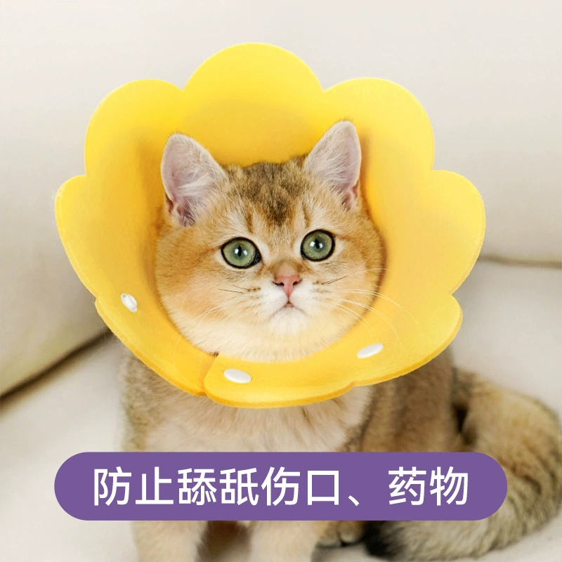 Трансграничные взрывы Войлочная ткань для домашних животных Кольцо Элизабет Легкий кошачий ошейник Защитный чехол с защитой от укусов и облизывания для домашних кошек и собак