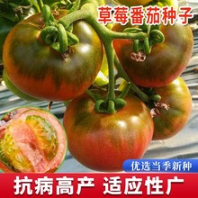 ��ݮ���ѷN�����t���N���|�FƤ����ˮ���N��ԭ�b�ļ��߲˷N�Ӵ�ȫ