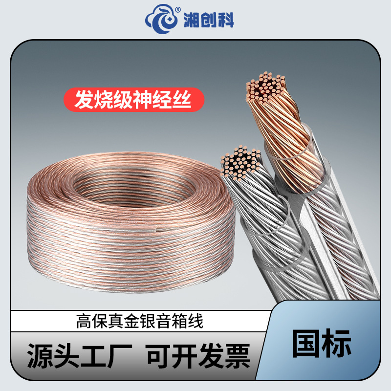 National standard RVH high-fidelity gold and silver wire 2-core 200/300/400/600 subwoofer power amplifier special speaker wire