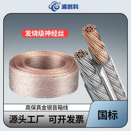 国标RVH高保真金银线2芯 200/300/400/600支低音炮功放专用音箱线
