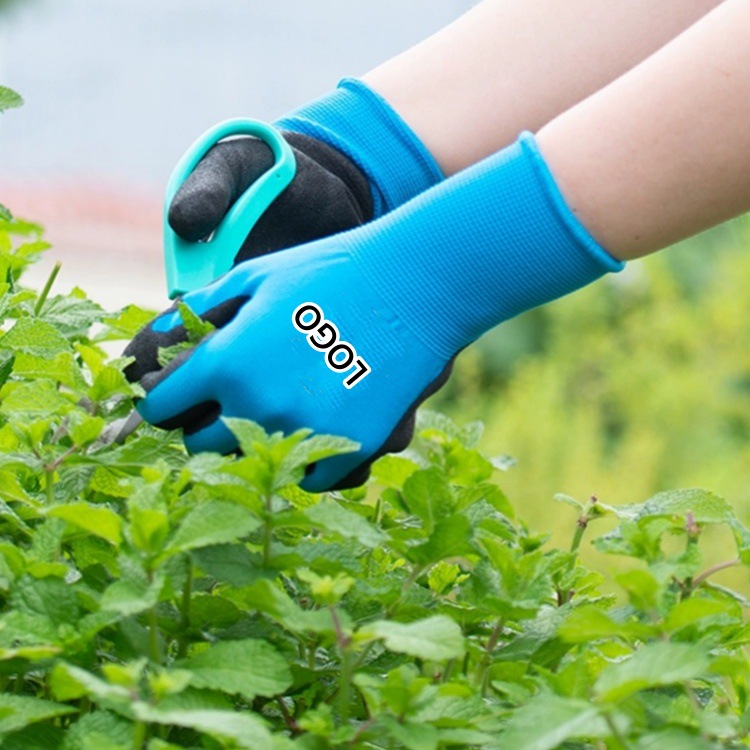 IMG_1843(20240114-231344)