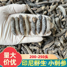 精选印尼小刺秃参产地直销印尼小刺参印尼黑刺参淡干海参干货酒店