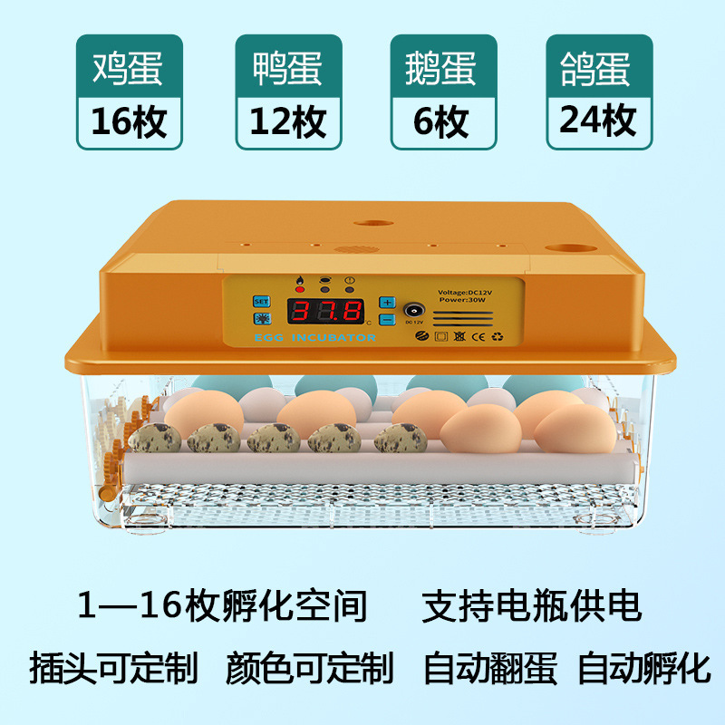 家庭用孵化器ひよこ孵化器小型家庭用孵化機全自動知能鶏鴨ガチョウ鳩孵化機|undefined