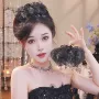 盘发新款2026发夹抓夹