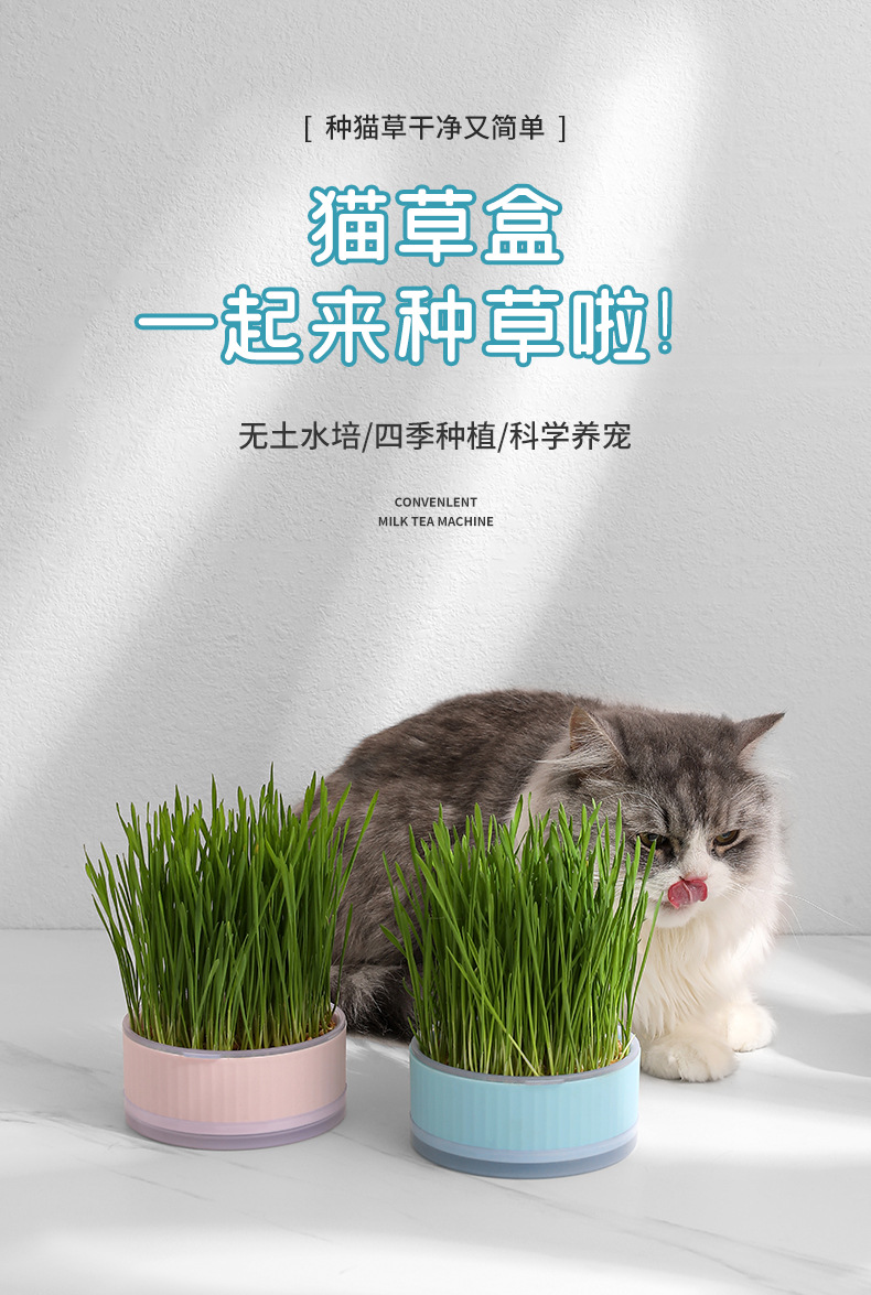 猫草_01.jpg