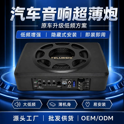 Subwoofer for Car Under-Seat | Car speaker/subwoofer