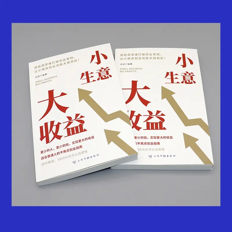 小生意大收益书正版创业思维宝典打破思维初创企业的不焦虑创业法|undefined