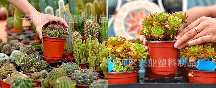 微信图片_20230911131002