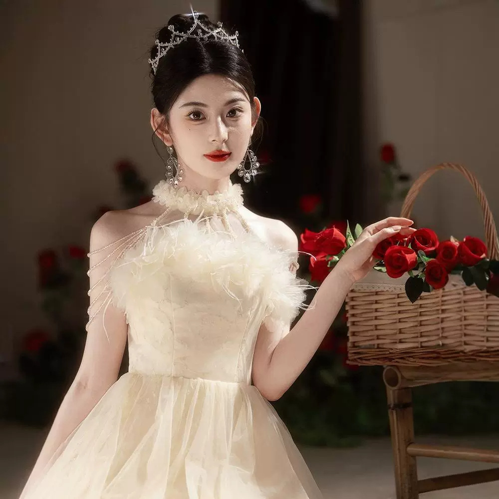 Elegant Champagne Colored Evening Gown New Style Long Dress For Women Suitable For Engagement Understated Luxury Ethereal Beauty_ecoleips.com