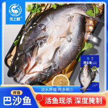 【江浙沪皖专享】整箱批发商用湄公鱼烤鱼新鲜冷冻巴沙鱼整条20斤