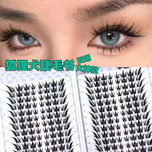 ����Ȯ�ٽ�ë��Ȼ����ֶ�ʽ�δغ�ϵ�ޕ�ë���������R���R����