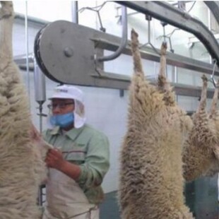 �������������a�� �ך���Ѫ�Ԅ���ˮ�� ��Cë��ë�C