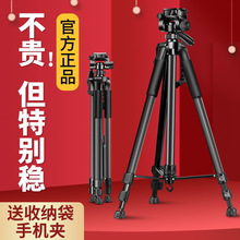单反相机三脚架万能微单手机三角架支架拍摄摄影户外钓鱼灯望远镜