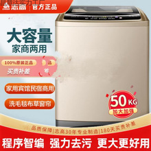 志高30/50/60公斤大容量洗衣机全自动家用100酒店宾馆民宿商用