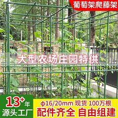国境を越えた植物クライミングブラケットキュウリスイカクライミングポール大型農場メロンとフルーツプラスチックコーティングされた鋼管ブドウクライミングフレーム
