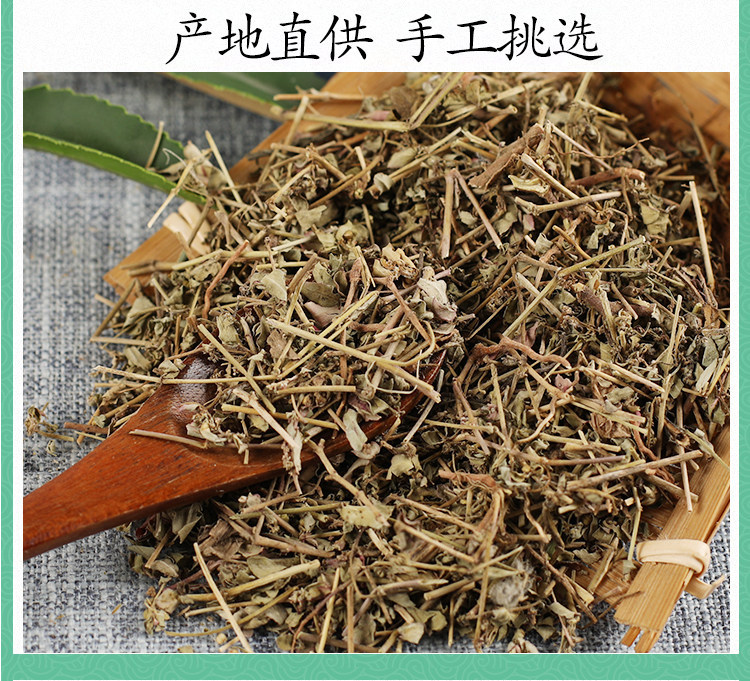 Wild Euphorbia Humifusa Di Jin Cao Dried Herb 500g Traditional Chinese Herbal Tea Ingredient in use