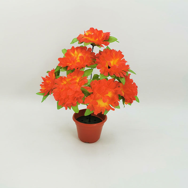 7-head chrysanthemum with leaves (sunset) 1 branch - 1 branch + flowerpot quality choice