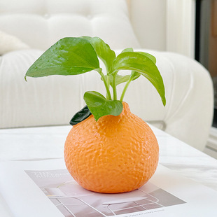 Simple Orange Small Vase Ornaments Living Room Flower-arranging Hydroponic Plant Flowers Green Rose Creative Crafts Desktop Decoration