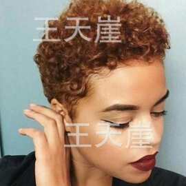 欧美新款跨境假发 非洲超短卷发小款女士假发厂家批发玫瑰网现货