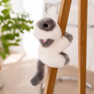 ������ż�ǳ���ؐ����ܛ�������_؈С��؈�����N���Ќ�ë�q����