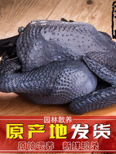 ɢ�B�����u�F�����r���u�r�Ҟ��uС���u���u���r��ĸ�u�ߵ��u��ֻ