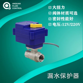 俄罗斯外贸厂家 12V/220V黄铜电动二通球阀 漏水自动关闭电动球阀