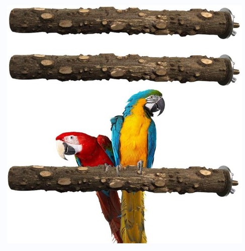 Parrot toy bird supplies, chili wood perch bar stand, various sizes, bird cage accessories, nail and beak grinding tools