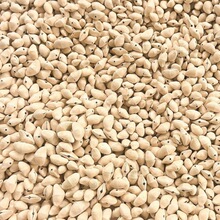 ӡ�����chacha�u⏲��������L��ֹ�diy�A���ҝM����L⏲���