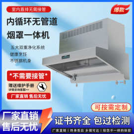 厨房油烟净化一体机 饭店餐厅学校食堂净化油烟机 商用油烟净化器