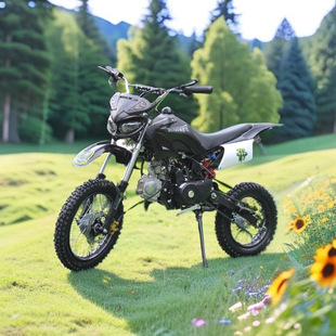 Source Factory Dropshipping Two-Wheel Off-Road Motorcycle Fuel Motorcycle 125 Off-Road Motorcycle Mid-High Race