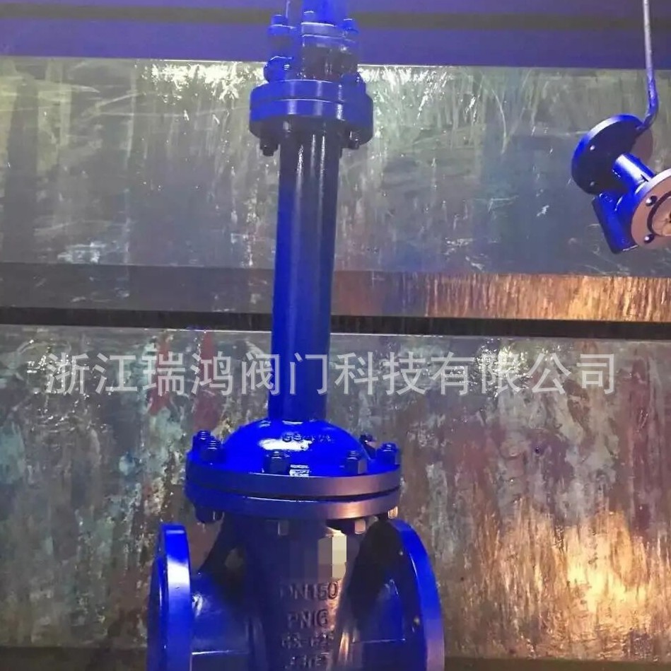 波纹管法兰闸阀  铸钢波纹管闸阀 WZ41H德标波纹管闸阀