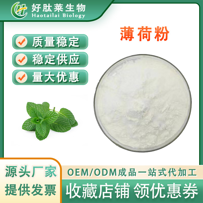 薄荷粉 水溶性薄荷粉 薄荷提取物 水溶性好 薄荷浓缩粉 现货