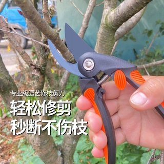 剪枝剪刀花剪修枝剪果树修剪树枝园艺园林花艺剪子果园剪省力苗木