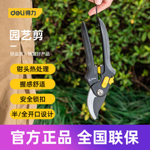 工具 果枝剪园艺剪家用省力果树园林剪刀修花枝工具 DL2789A