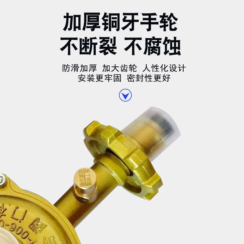 Shenghe 家庭用 1.2 立方メートル新国家標準ガス防爆減圧弁ストーブガスストーブ液化ガスストーブ減圧弁|undefined