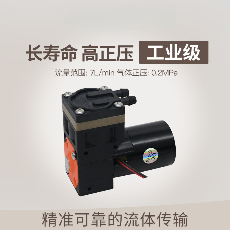 卡默尔KZP真空泵 大流量气泵12v抽气泵 无刷小型气体压缩机垒德株