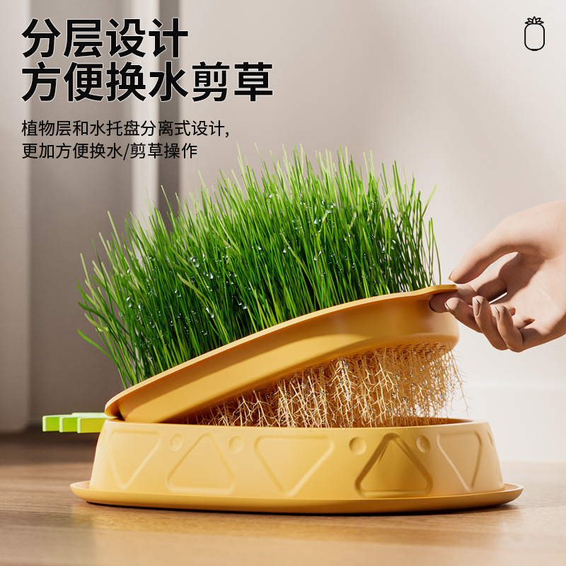 Caja de hierba de gato de piña original sin suelo diseño de capas hidropónicas para promover la digestión y el cultivo de la caja de hierba de gato