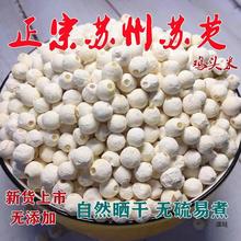 ���]�K����؛���͌��u�^�׸�؛�KǷ���K���K�ݰ��͌��ʴ��w��