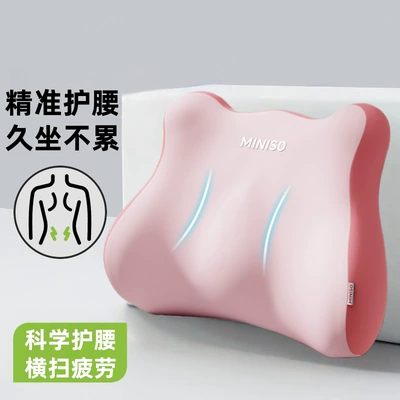 Ergonomic Lumbar Support, Waist support - basic-dual-tone-pink-color-scheme