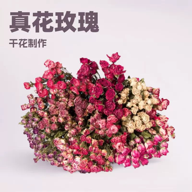 真花小玫瑰干花相框diy花材花束家居装饰婚庆布置工厂直发压花