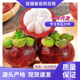 ���M�ڡ�̩��ɽ�� ���l2/5�����r��Ŵ�Ϙ������񮔼��r���ЋDˮ��