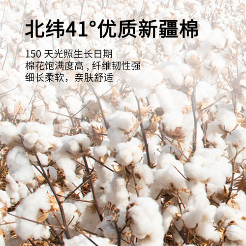 58C1 pair of pillow covers  new pillowcase gauze anti-head oil cover