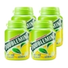 Green Tea Mint Flavor 56g*2 bottles