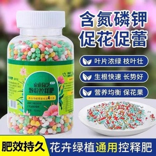 General Controlled-Release Fertilizer for Green Plants and Florals, Succulent Granular Slow-Release Fertilizer, Special Nutritional Fertilizer for Flower Cultivation, Nitrogen, Phosphorus and Potassium Compound Fertilizer