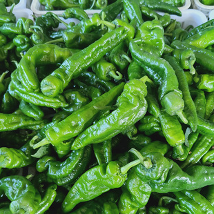 ���r�����Fժ�ཷ���K�a�r���߲˻�Ƥ�˽�΢��������Ƥ�����F�l