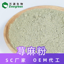 源头厂家荨麻粉80-100目荨麻浓缩粉 谷甾醇 食品原料现货规格定制