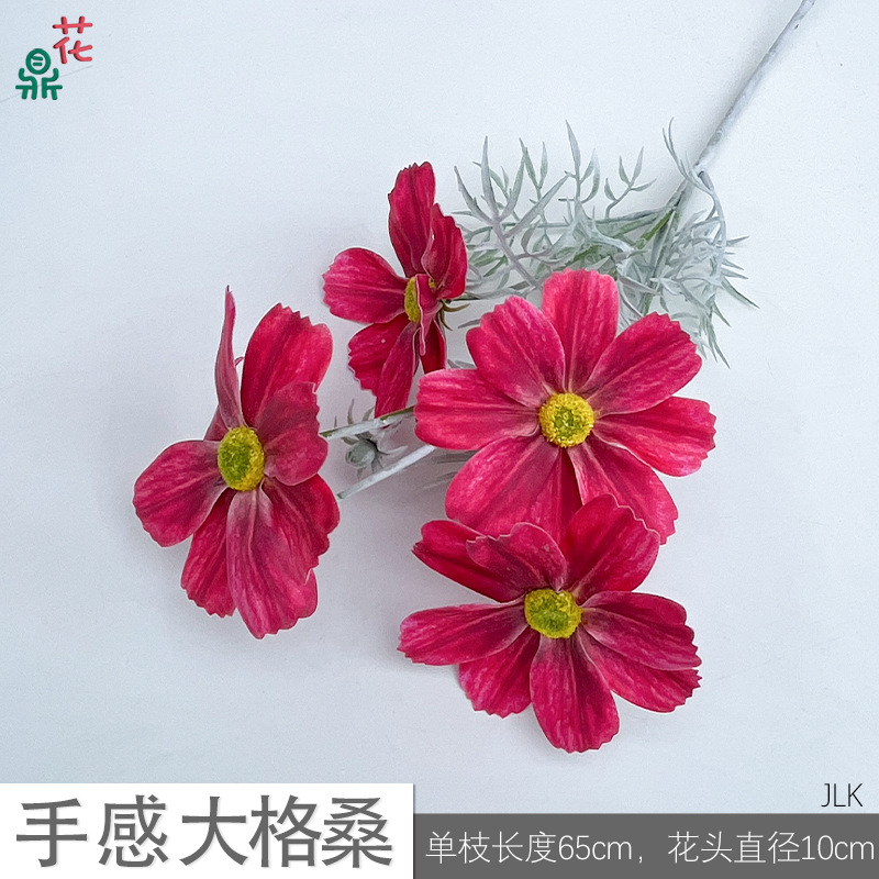 빅게상 JLK 7# 로즈레드 느낌
